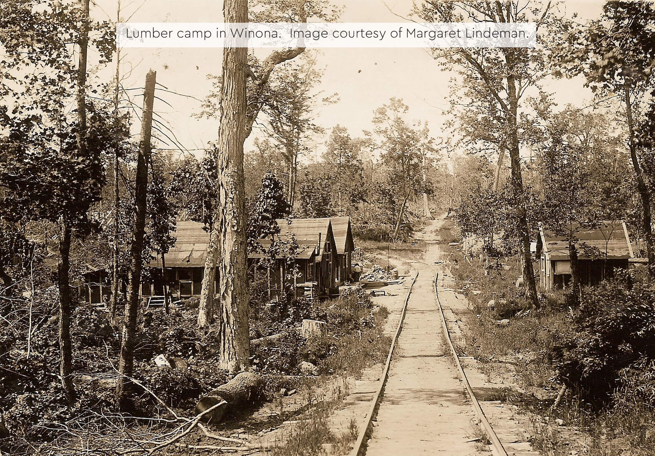 Historic image of a lumber camp in Winona with railroad tracks running through it.